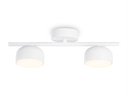 Ambrella Светильник накладной TN71022/2 WH белый GX53/2 max 12W 320*80*140 TN71022 - фото 104306