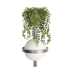 LOFT IT 10121W/B Dark grey Настенный светильник Jardin 10121W/B Dark grey - фото 105540