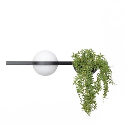 LOFT IT 10121W/A Настенный светильник Jardin, шт 10121W/A - фото 106365