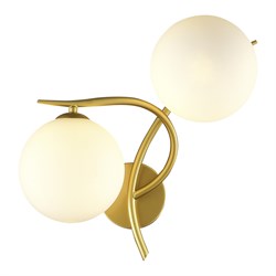 Evoluce SLE2210-201-02 Светильник настенный Золотой/Белый G9 2*5W SLE2210-201-02 - фото 106585