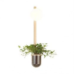 Odeon Light 4682/1WB ODL20 625 золото/белый Настенный светильник E14 1*40W 220V FLOWER 4682/1WB - фото 107253