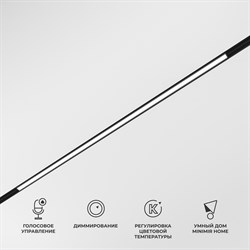 Elektrostandard 85077/01 Slim Magnetic Умный трековый светильник 20W 2700-6500K Dim L02 (чёрный) a063540 a063540 - фото 111374