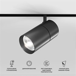 Elektrostandard 85197/01 Slim Magnetic Умный трековый светильник 20W 2700-6500K Dim R03 (черный) a066589 - фото 111637