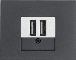 usb розетка | зарядка 260209  | 10357006 Berker - фото 48495