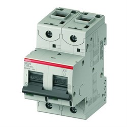 Автоматический выключатель ABB S802C 100А 2п 2CCS882001R0824, 15кА, C, S802C-C100 - фото 63669