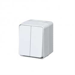 Systeme Electric AtlasDesign Profi54 наружный белый выключатель 2-клавишный 10 АХ IP54 ATN540151 - фото 71626