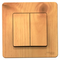 Blanca внутренняя ясень выключатель 2-клавишный, 10А, 250B BLNVS010505 - фото 72488