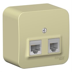 Blanca наружняя бежевый розетка 2-ая: компьютерная RJ45, кат.5E + телефонная RJ11, изолированная пластина BLNIA045117 - фото 72678