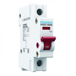 HYUNDAI Выключатель нагрузки HSD100S 1PDSS0000C 00100 1 полюс 100А (STANDARD) 13.04.000946 - фото 85664