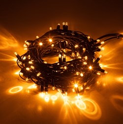 ЭРА Гирлянда ERAPS-NZ2 светодиодная новогодняя нить уличная 10 м желтая 100 LED Б0060544 - фото 90439
