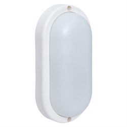 Светильник светодиодный ЖКХ овал ДПО-1001 12Вт 4000K IP65 EKF BKL-1001-V-12-4000 - фото 91626