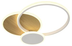 Светильник потолочный светодиодный ЭРА Модерн City CLL-1-60-RC WH+Wood с ДУ 60W 3000-6500К белый/золото Б0069757 - фото 94388