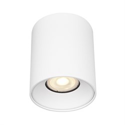 ST LUCE ST167.502.01 Светильник потолочный Белый GU10 1*50W IP20 D80xH95 220V Без ламп ST167.502.01 - фото 94478