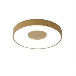 Mantra Потолочный светильник COIN 7565 7565 - фото 94631