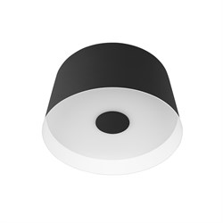 LOFT IT 10360S Black Потолочный светильник Duo, шт 10360S Black - фото 95746