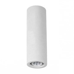 Arte Lamp TUBO Потолочные светильники A9267PL-1WH A9267PL-1WH - фото 95838