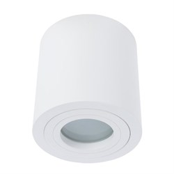 Divinare Потолочные светильники 1460/03 PL-1 - фото 96106