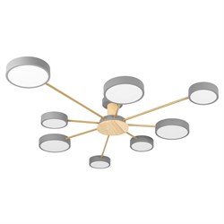 LOFT IT 10316/8 Grey Потолочный светильник Sunrise 10316/8 Grey - фото 96115