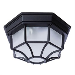 Arte Lamp A3100PL-1BK Pegasus Уличный потолочный светильник A3100PL-1BK - фото 96596