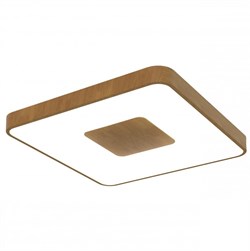 Mantra Потолочный светильник COIN 7918 7918 - фото 96673