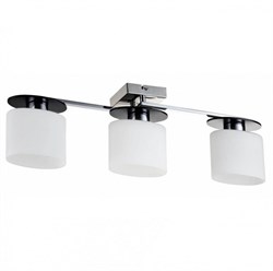 Freya Modern Bice Хром Потолочный светильник E14 40W FR5101-CL-03-CN - фото 96740