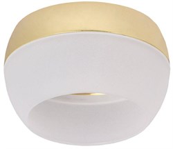 Светильник 4010 накладной потолочный под лампу GX53 золото LT-UPB0-4010-GX53-1-K22 pe654796 - фото 96911
