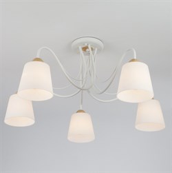 Eurosvet Потолочная люстра со стеклянными плафонами 70062/5 белый 00000081856 - фото 98908