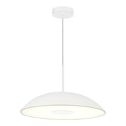 ST LUCE SL6128.503.01 Светильник подвесной Белый/Белый LED 1*24W 3000K SL6128.503.01