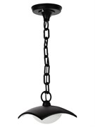 TDM Светильник садово-парковый LED "СИТИ" ДСУ 07-08-001 У1 8 Вт 230 В 6500 К подвесной черный SQ0330-1334