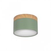 LOFT IT 10162 Green Накладной светильник Grape, шт 10162 Green
