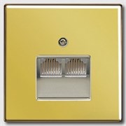 Накладка 2-ой наклонной ТЛФ/комп розетки Jung LS Gold Золото go2969-2ua