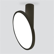 Elektrostandard DLS029 / Светильник накладной черный матовый a047772