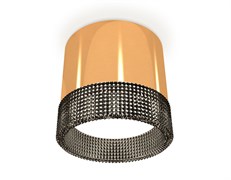 Ambrella Комплект накладного светильника с композитным хрусталем XS8121021 PYG/BK золото желтое полированное/тонированный GX53 (C8121, N8484) XS8121021