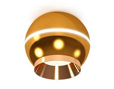 Ambrella Комплект накладного светильника XS1105002 PYG золото желтое полированное MR16 GU5.3 LED 3W 4200K (C1105, N7034) XS1105002