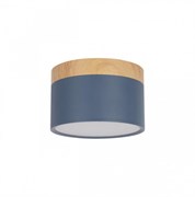 LOFT IT 10162 Blue Накладной светильник Grape, шт 10162 Blue