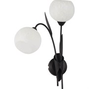 Lussole S.R.L Металл Коричневый /  Стекло Светильник настенный E14 GRLSF-6291-02