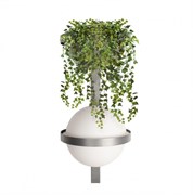 LOFT IT 10121W/B Dark grey Настенный светильник Jardin 10121W/B Dark grey