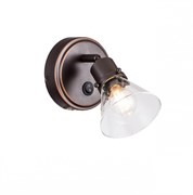 Citilux CL564511 Бисмарк Светильник Наст.-Потол CL564511