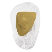 Arte Lamp A2096AP-5PB СВЕТИЛЬНИК НАСТЕННЫЙ A2096AP-5PB