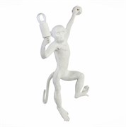 Evoluce SLE115111-01 светильник настенный Белый E27 1*60W SLE115111-01