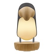 Jazzway СВЕТИЛЬНИК Настольный ТУКАН (черн.) .5048133