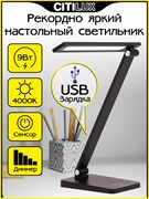 Citilux CL803081 Ньютон Черный, с USB CL803081