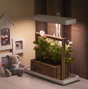 ЭРА FITO-20W-QLED-W Настольный светильник полного спектра Б0039034