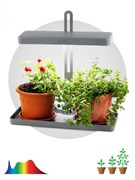 ЭРА FITO-20W-QLED-G Настольный светильник полного спектра Б0039035