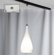 Lussole S.R.L Металл Хром /  Стекло трековый светильник однофазный E27 60W LSF-1106-01-TAW