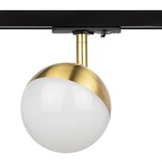 ЭРА Трековый светильник однофазный ЭРА TR42-GX53 BS под лампу GX53 латунь Б0054180