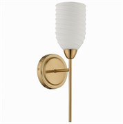 Lumion 6512/1W MODERNI LN23 114 латунь Бра E14 1*40W 220V MONROE 6512/1W