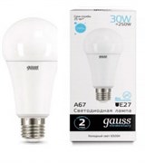 Gauss Лампа Elementary A67 30W 2390lm 6500K E27 LED 73239