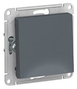 Выключатель кнопочный одноклавишный ATN000715 Schneider Electric