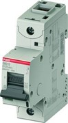 Автоматический выключатель ABB S801C 100А 1п 2CCS881001R0821, D, 25кА, S801C-D100